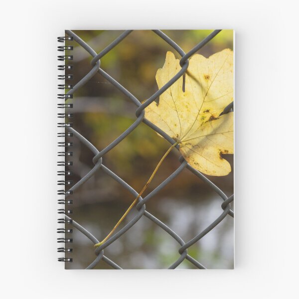 Item preview, Leaf Caught in a Fence designed and sold by Calidris Fotografie Steffi & Ben Köppler.