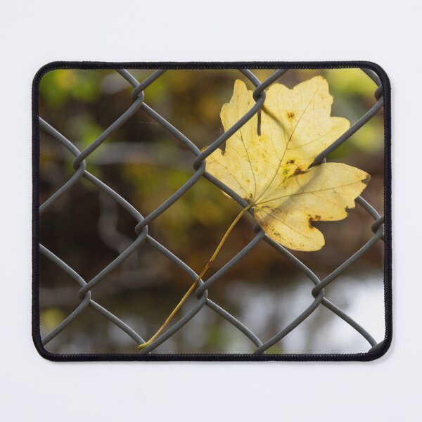 Item preview, Leaf Caught in a Fence designed and sold by Calidris Fotografie Steffi & Ben Köppler.