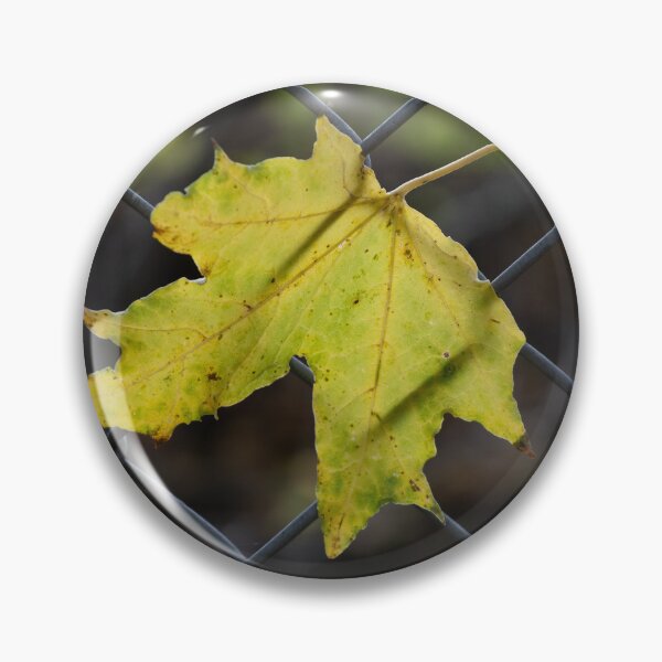 Item preview, Leaf Caught in a Fence designed and sold by Calidris Fotografie Steffi & Ben Köppler.