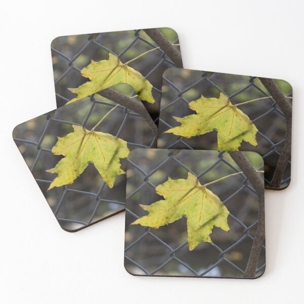 Item preview, Leaf Caught in a Fence designed and sold by Calidris Fotografie Steffi & Ben Köppler.