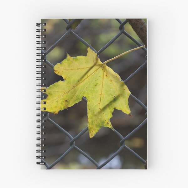 Item preview, Leaf Caught in a Fence designed and sold by Calidris Fotografie Steffi & Ben Köppler.