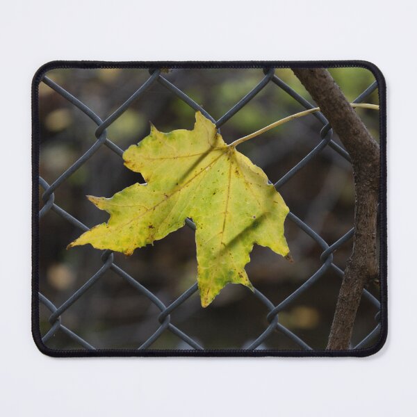 Item preview, Leaf Caught in a Fence designed and sold by Calidris Fotografie Steffi & Ben Köppler.