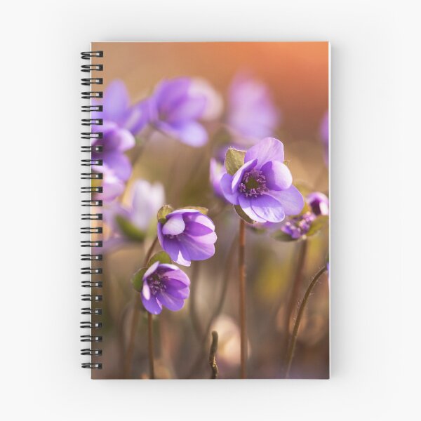 Item preview, Spring flowers designed and sold by Catrinann.