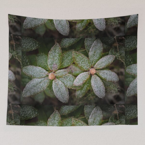 Item preview, Hoar Frost designed and sold by metriognome.