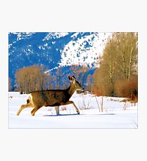 Knee Deep Photographic Print