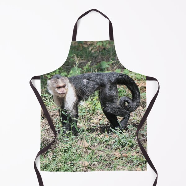 Item preview, vr 3575- 3/ finition 2023 singes : les Capucins à épaule blanches - Okaio Créations Olavia-Olao designed and sold by o.okaïo.