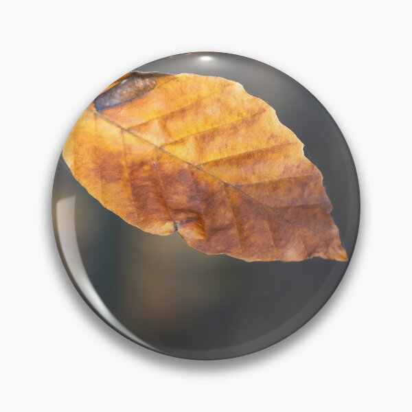 Item preview, Leaf in Sunlight designed and sold by Calidris Fotografie Steffi & Ben Köppler.