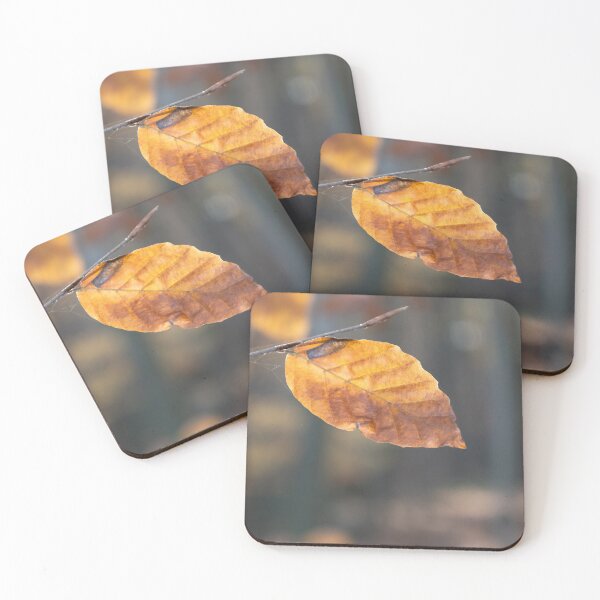 Item preview, Leaf in Sunlight designed and sold by Calidris Fotografie Steffi & Ben Köppler.