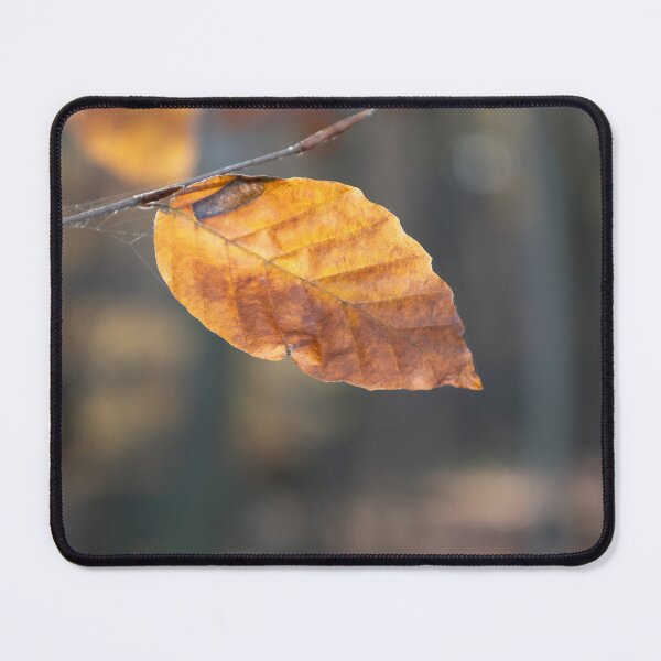 Item preview, Leaf in Sunlight designed and sold by Calidris Fotografie Steffi & Ben Köppler.