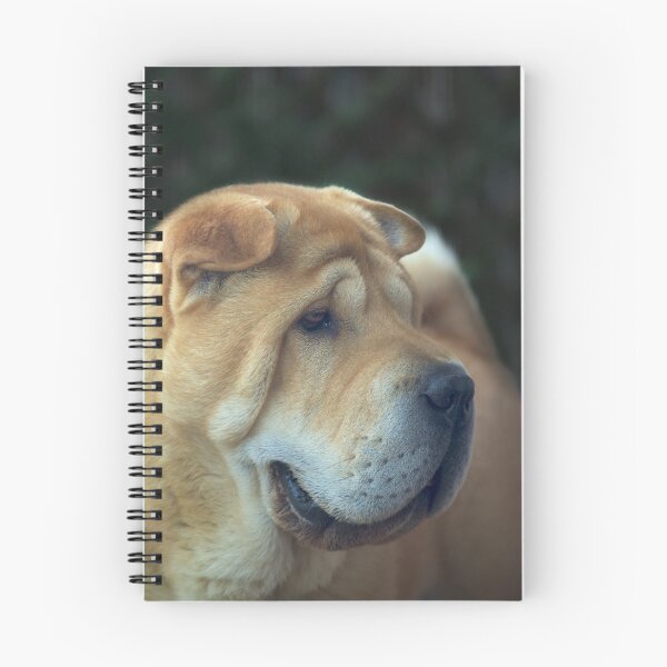 Item preview, Respectable Dog designed and sold by Tamas KLAUSZ.