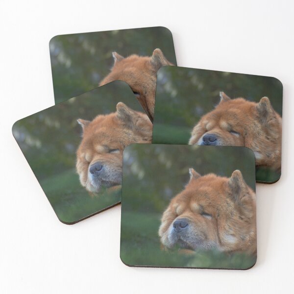 Item preview, Old dog sleeping in the grass designed and sold by Tamas KLAUSZ.