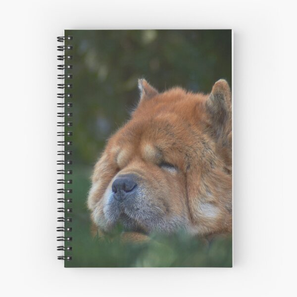 Item preview, Old dog sleeping in the grass designed and sold by Tamas KLAUSZ.