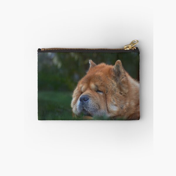 Item preview, Old dog sleeping in the grass designed and sold by Tamas KLAUSZ.