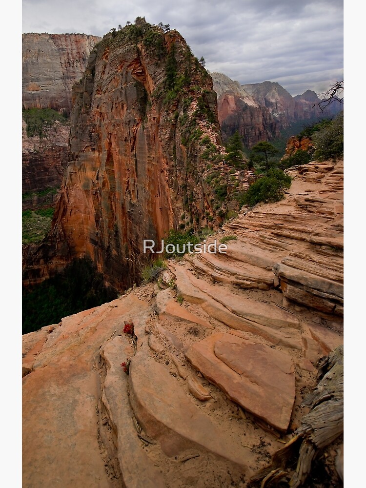 Discover Angels Landing Zion National Park Premium Matte Vertical Poster