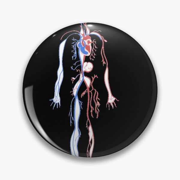 Item preview, Systemic and pulmonary circulation  designed and sold by Boby Karnlen.