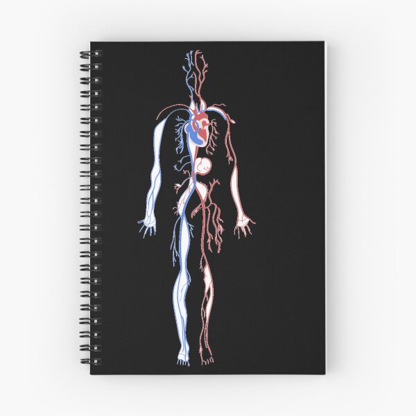 Item preview, Systemic and pulmonary circulation  designed and sold by Boby Karnlen.