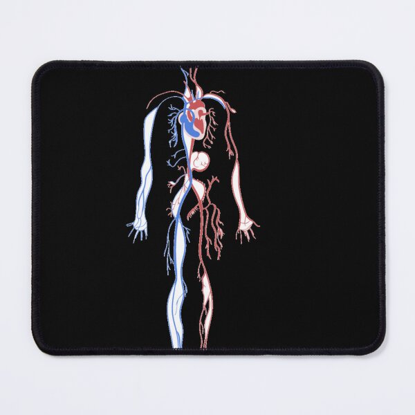 Item preview, Systemic and pulmonary circulation  designed and sold by Boby Karnlen.