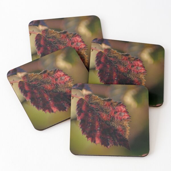 Item preview, Autumn leaf macro photography designed and sold by Falcaria.