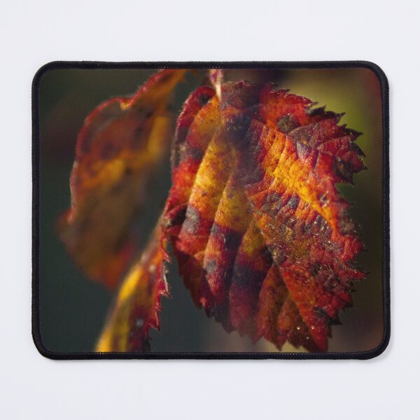 Item preview, Autumn red leaf macro photography designed and sold by Falcaria.