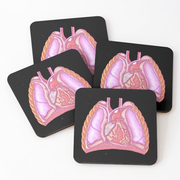 Item preview, Anatomy of the thoracic cavity  designed and sold by Boby Karnlen.