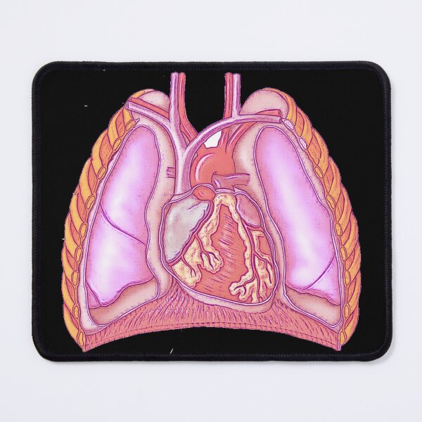 Item preview, Anatomy of the thoracic cavity  designed and sold by Boby Karnlen.