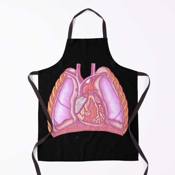 Item preview, Anatomy of the thoracic cavity  designed and sold by Boby Karnlen.