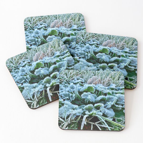 Item preview, Ice Crystal plants 2 designed and sold by BreeFarinaPhoto.