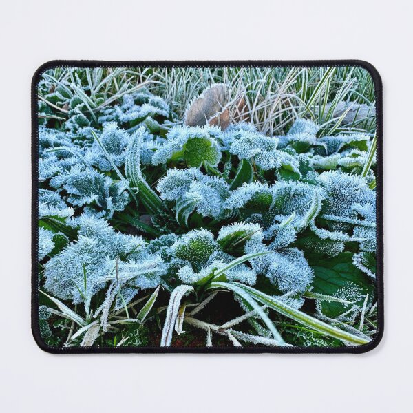 Item preview, Ice Crystal plants 2 designed and sold by BreeFarinaPhoto.