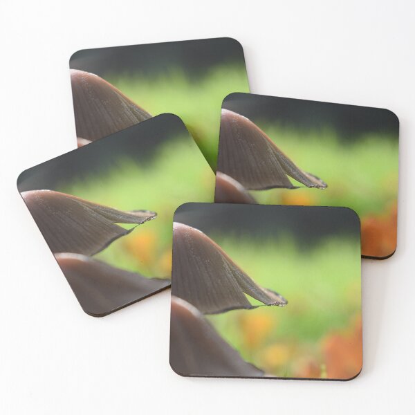 Item preview, natures restfull moments designed and sold by Eva-Designs-.
