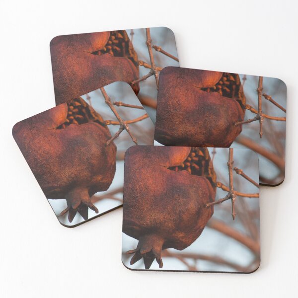 Item preview, Pomegranate in winter photography designed and sold by Falcaria.