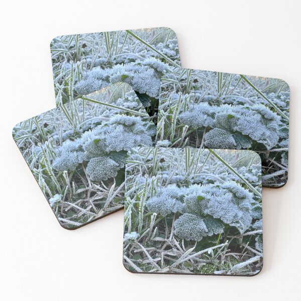 Item preview, ice crystal plant designed and sold by BreeFarinaPhoto.