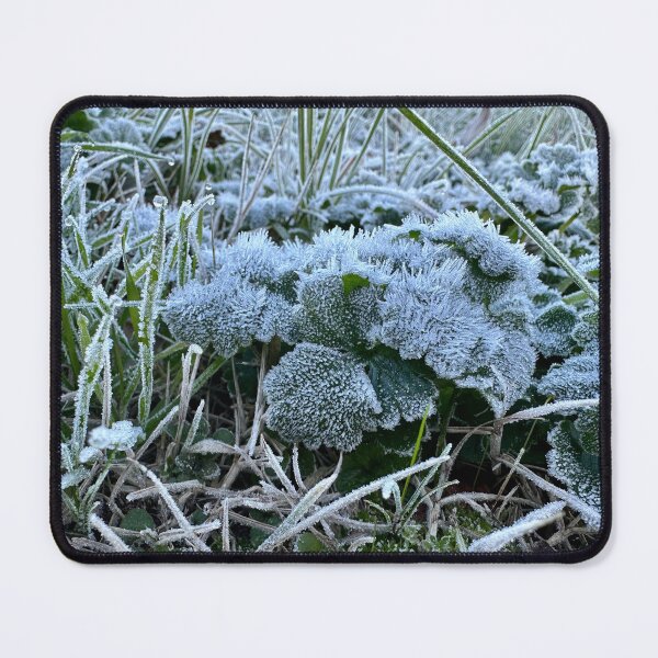 Item preview, ice crystal plant designed and sold by BreeFarinaPhoto.