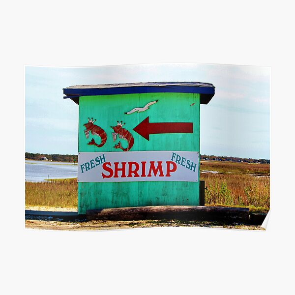 Shrimp Fisherman Posters Redbubble