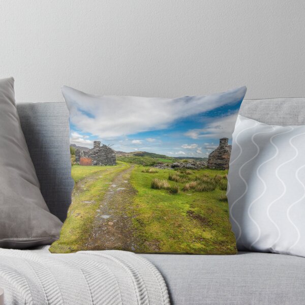 Item preview, Welsh Cottage Ruins designed and sold by AJEvans.