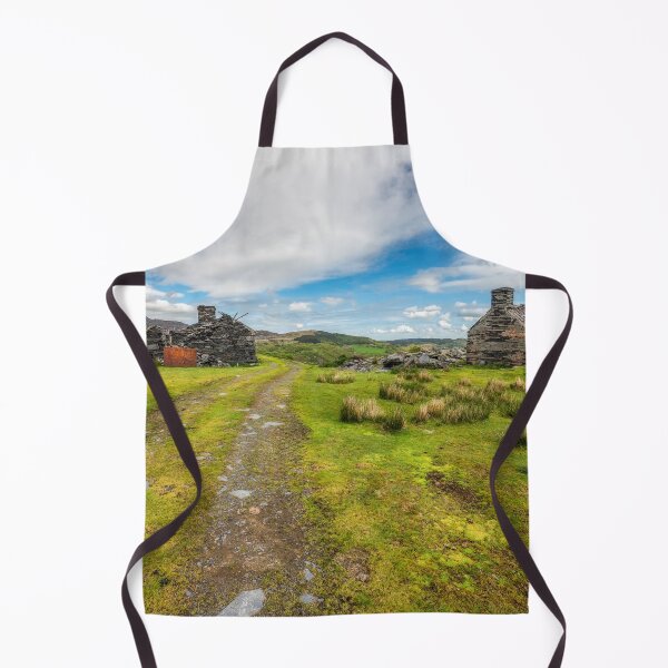Item preview, Welsh Cottage Ruins designed and sold by AJEvans.