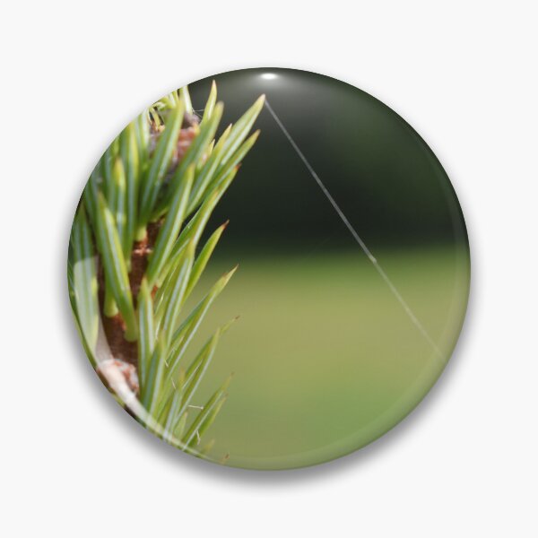 Item preview, a spider was here designed and sold by Eva-Designs-.