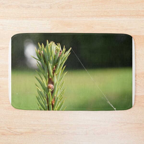 Item preview, a spider was here designed and sold by Eva-Designs-.