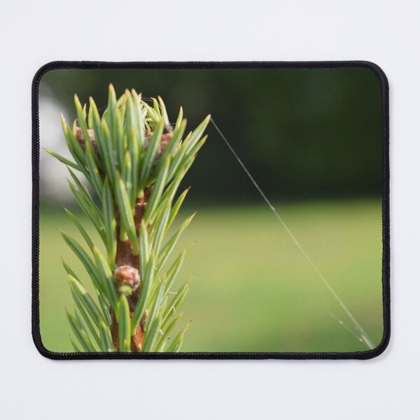 Item preview, a spider was here designed and sold by Eva-Designs-.