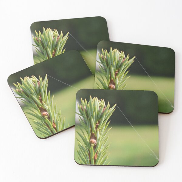 Item preview, a spider was here designed and sold by Eva-Designs-.
