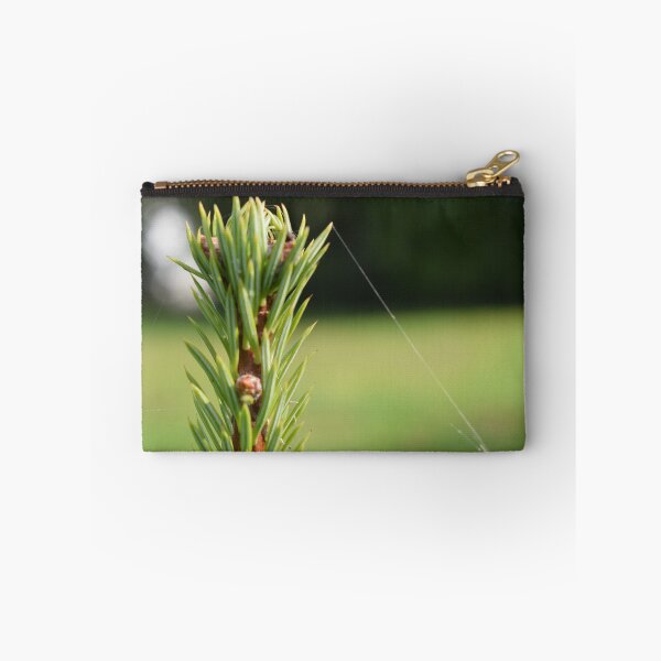 Item preview, a spider was here designed and sold by Eva-Designs-.