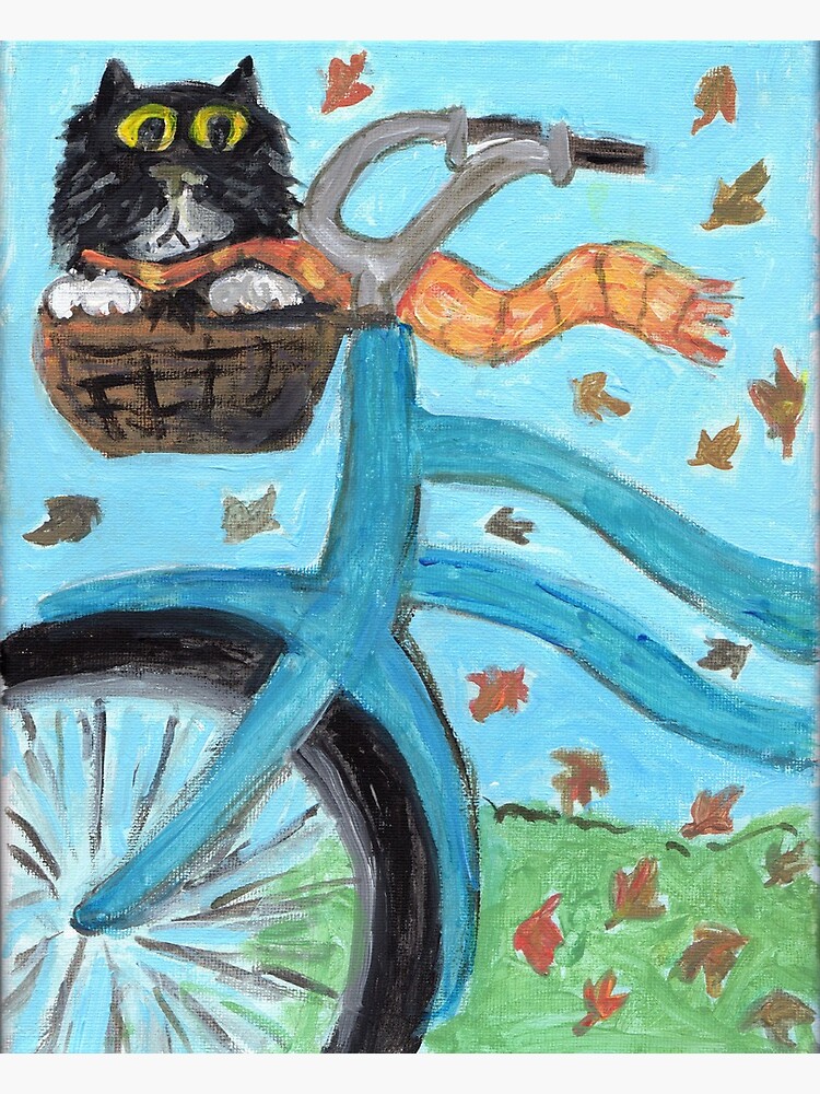 Cat discount bicycle basket