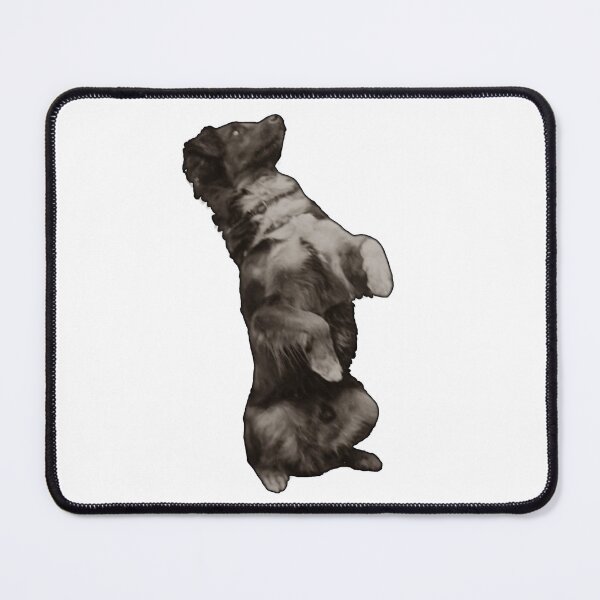 Item preview, Black and White Begging Dog designed and sold by kylmllr101684.