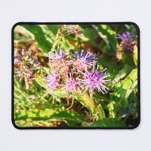Item preview, "Моргентау" "morning dew" designed and sold by Andreas Koerner.