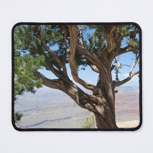 Item preview, South Rim Tree-Grand Canyon designed and sold by Peter DiFranco.