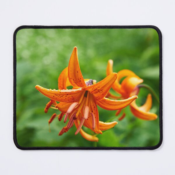 Item preview, "Лилия слабая" "Lilium debile" designed and sold by Andreas Koerner.