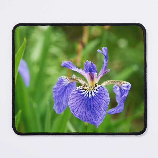 Item preview, "ирис" "Iris" designed and sold by Andreas Koerner.