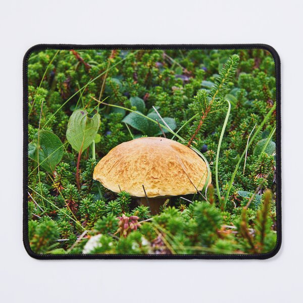 Item preview, "Белый гриб" "Boletus" designed and sold by Andreas Koerner.