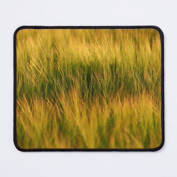 Item preview, "Barley" designed and sold by Andreas Koerner.