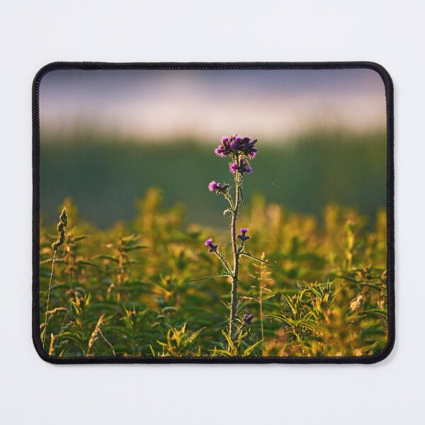 Item preview, "Thistle" designed and sold by Andreas Koerner.