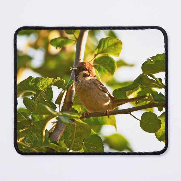 Item preview, "Eurasian Tree Sparrow" designed and sold by Andreas Koerner.